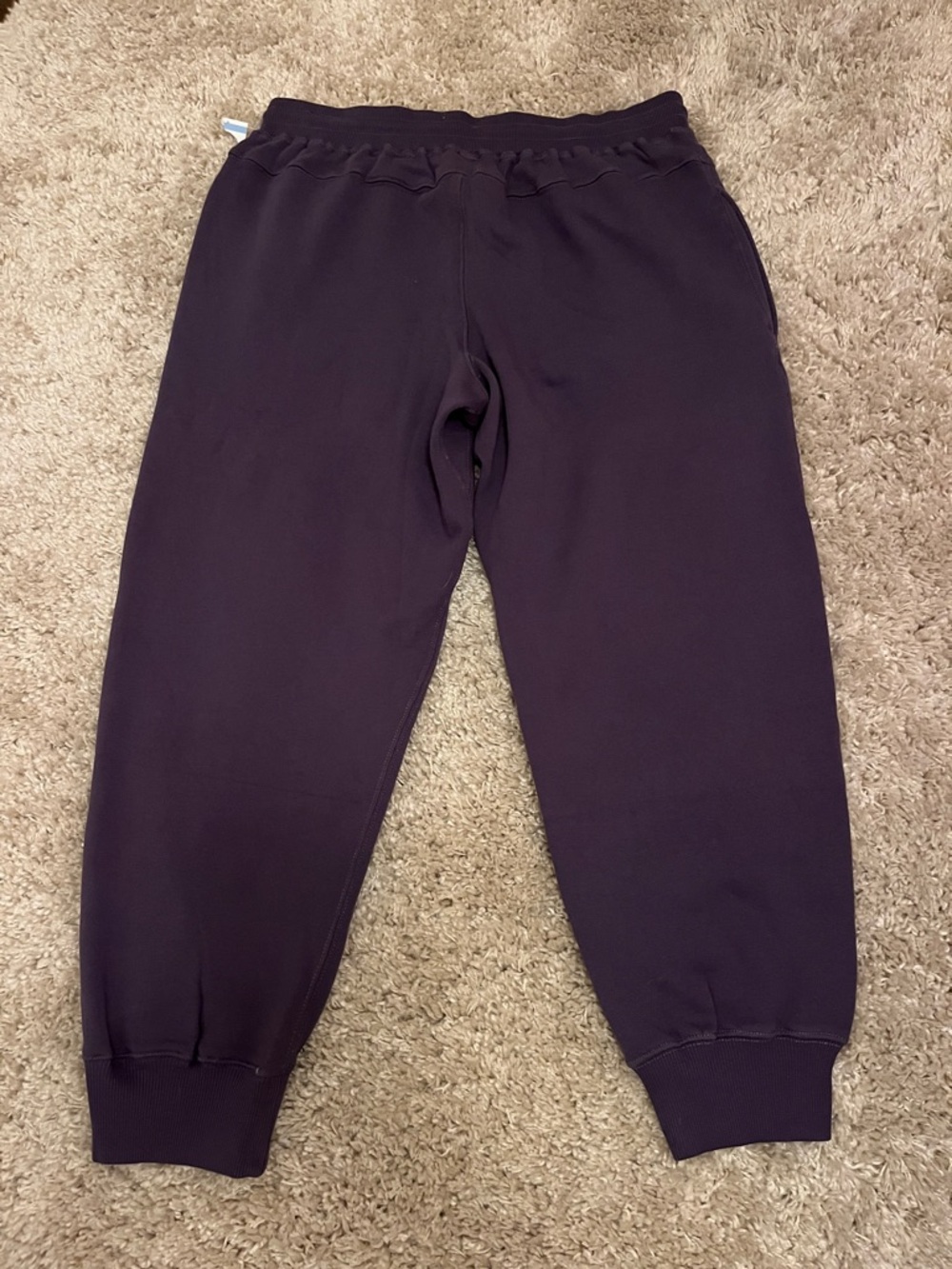 NWT Free People Undefeated Cotton Blend Joggers - Picture 5 of 7